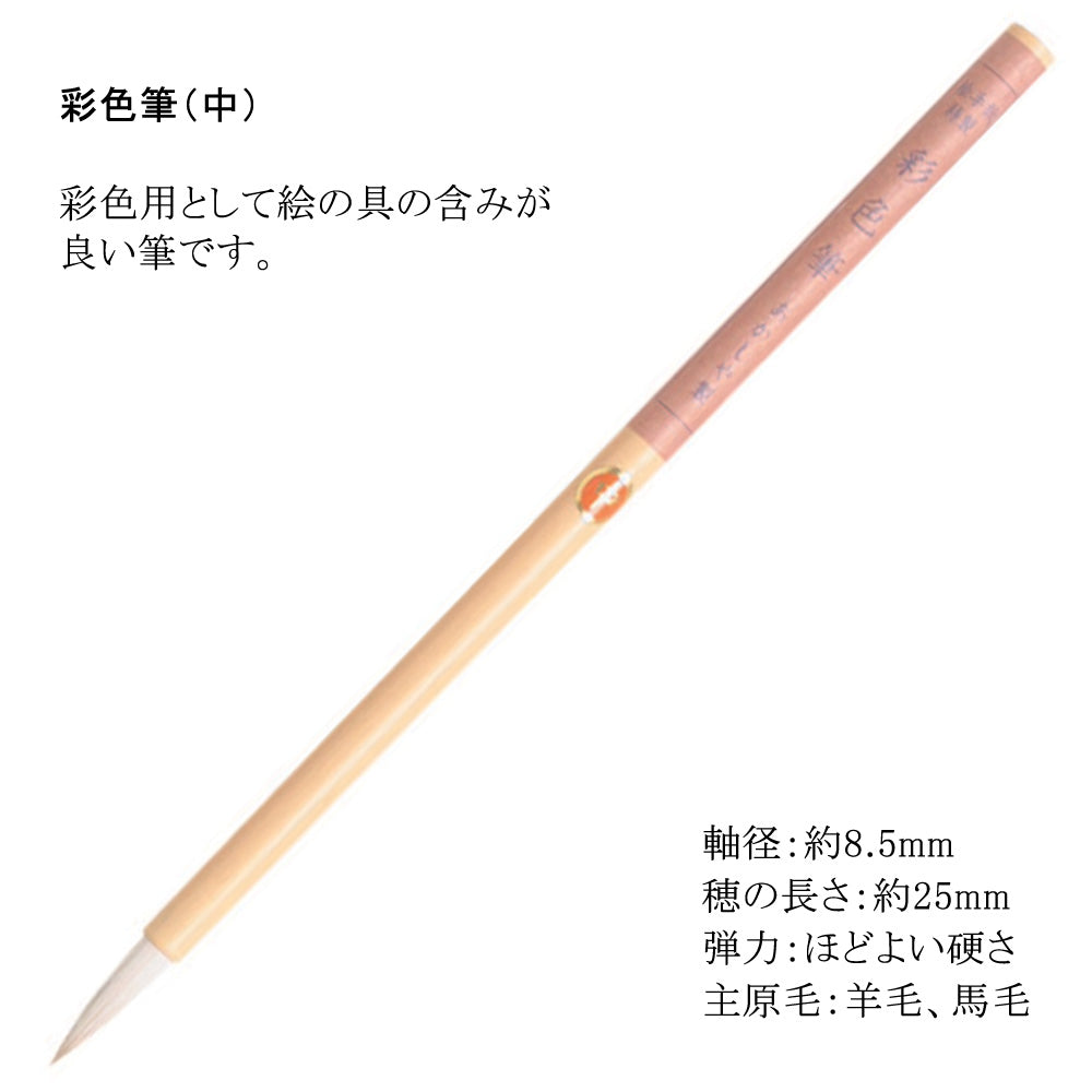 Japan MIDORI Coloring with Watercolor Pens for Children's Painting